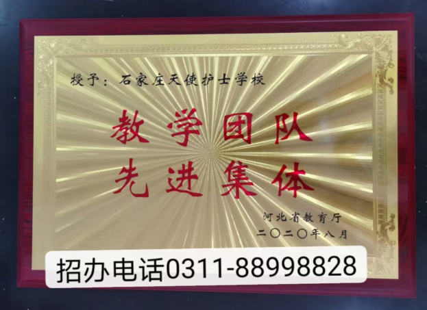 石家莊天使護士學校2025年春季什么專業招生